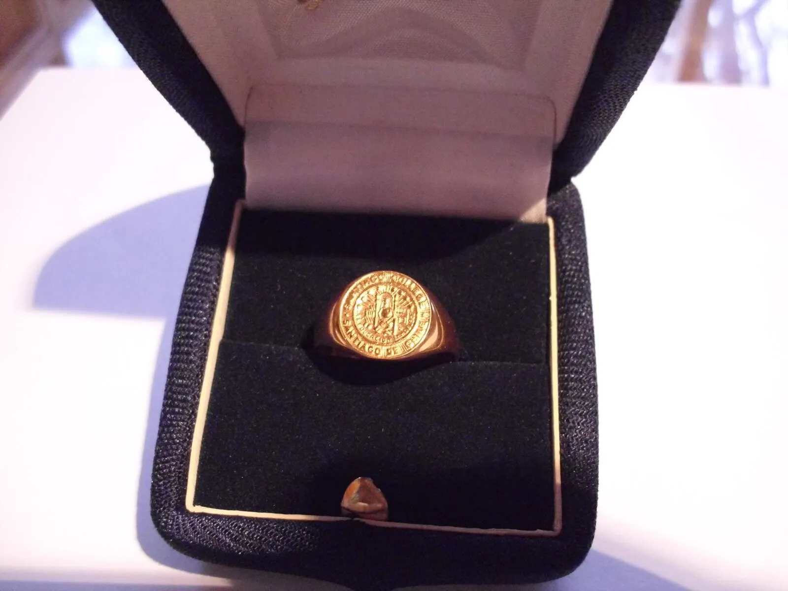 Anillo Santiago College