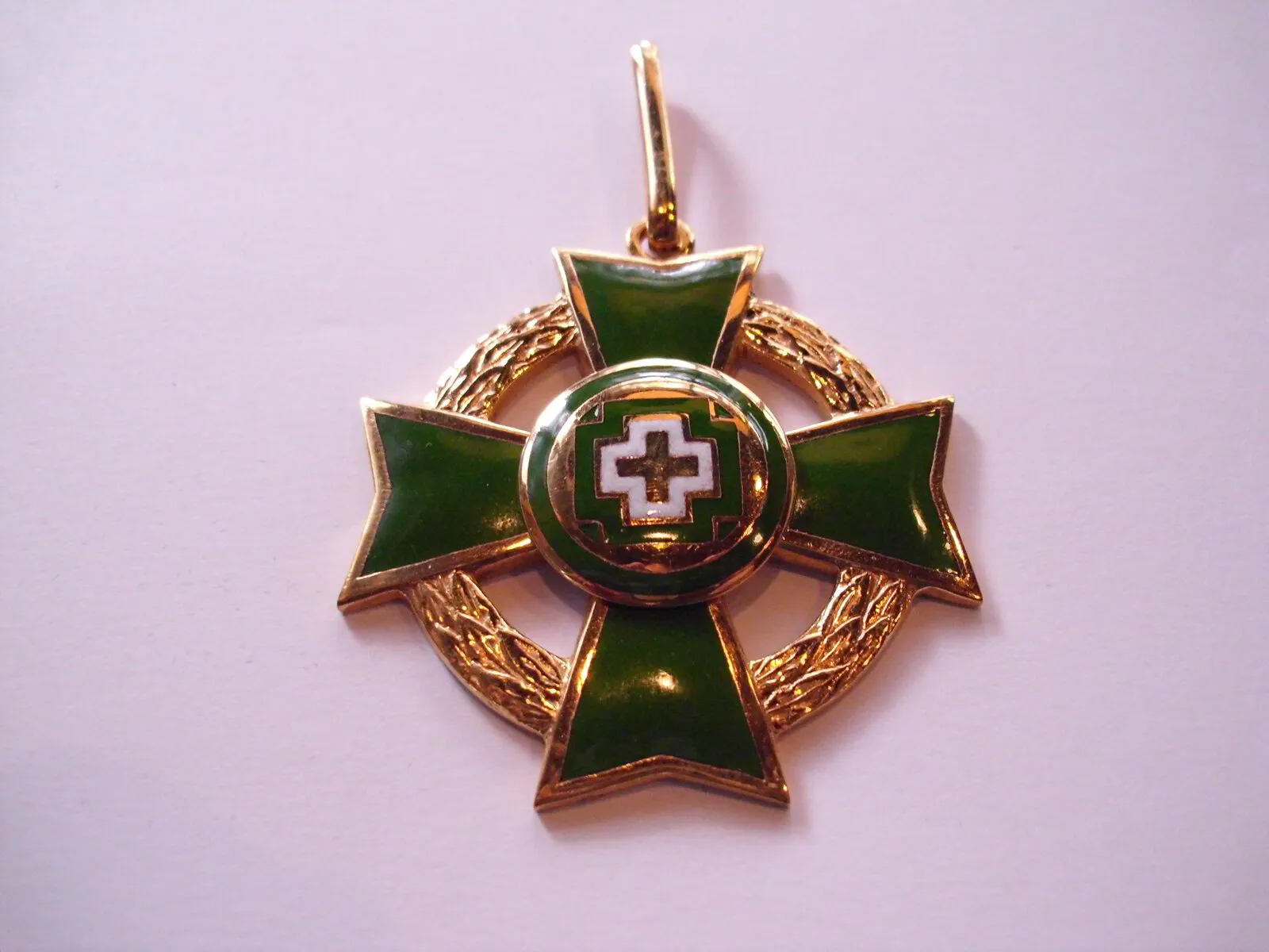 Condecoración Ministerio de Salud 2