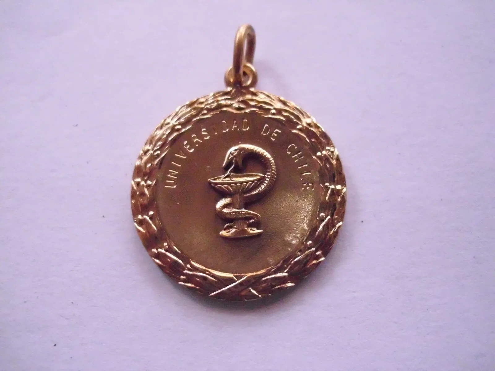 Fac. Química y Farmacéutica U. de Chile